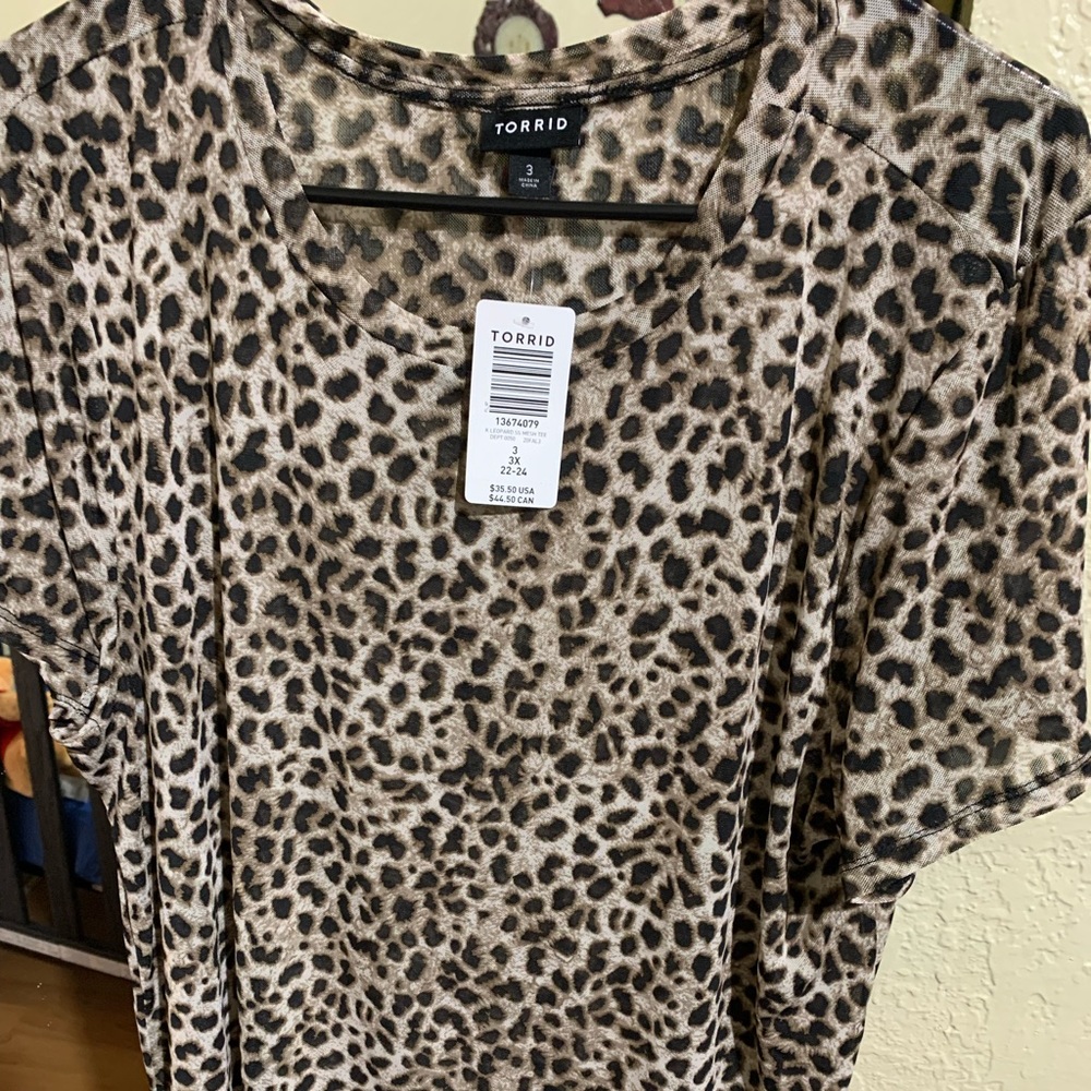 Torrid Leopard Print